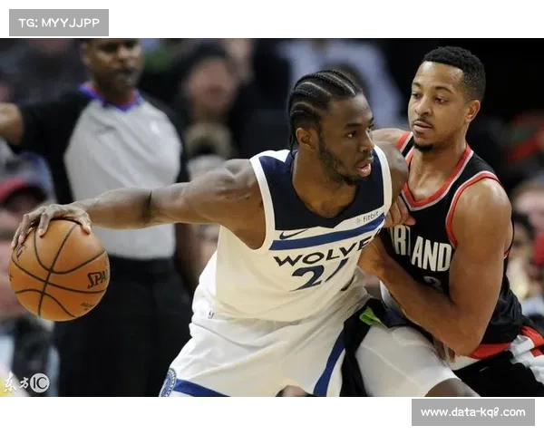 联盟版图调整在即：灰熊、森林狼或鹈鹕可能东迁平衡分区